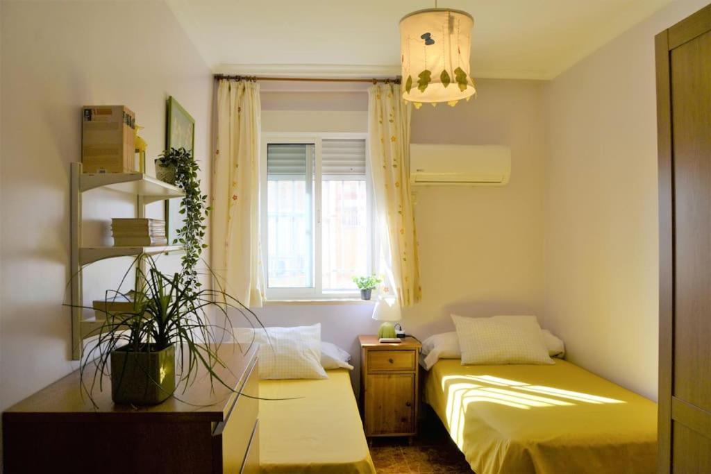 El Apartamento De Trini Sevilla Exteriör bild